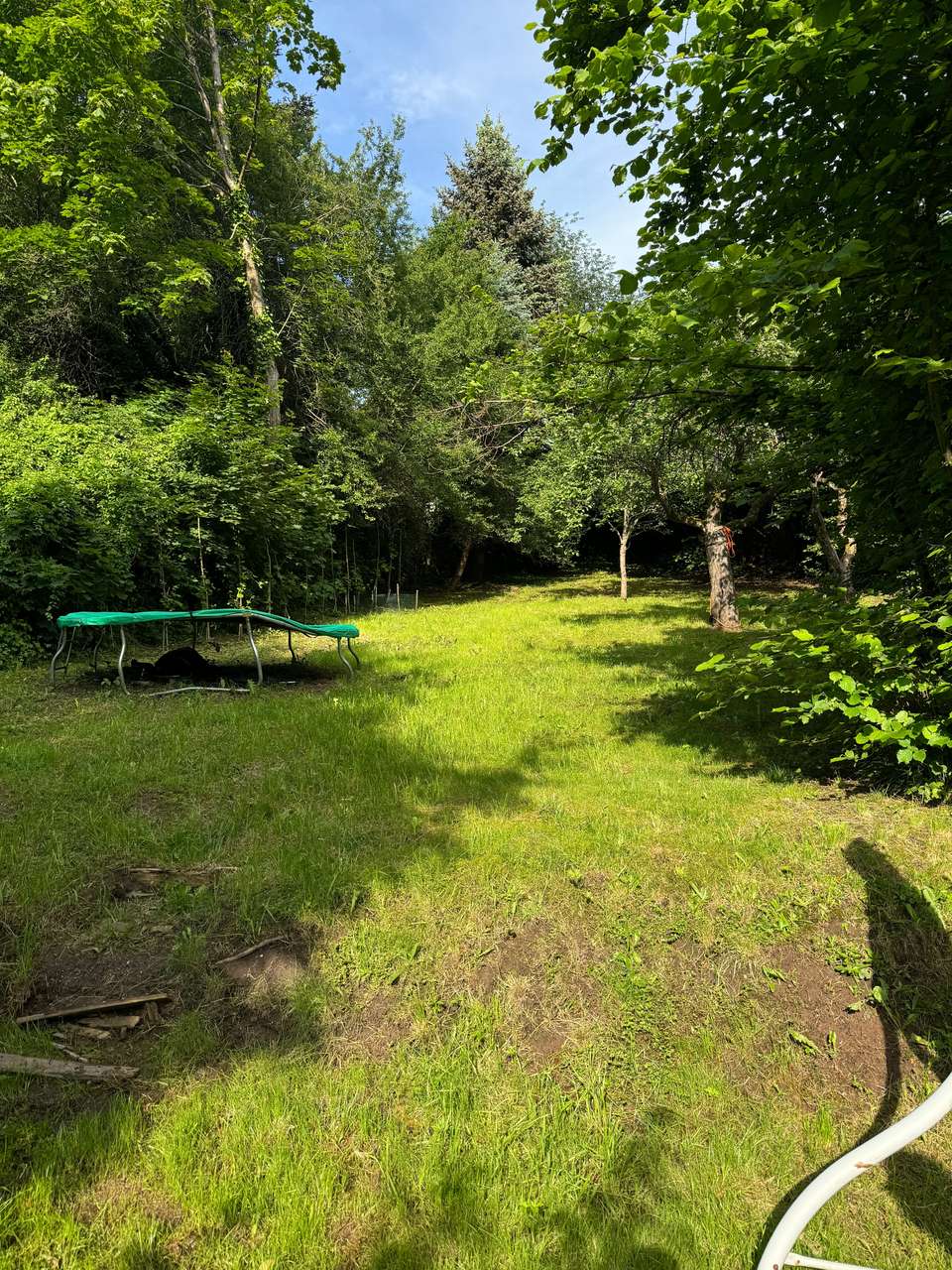 „fürstliches“ Wohnen in Villa Hohenstaufen,  4 Zimmer Erdgeschosswohnung