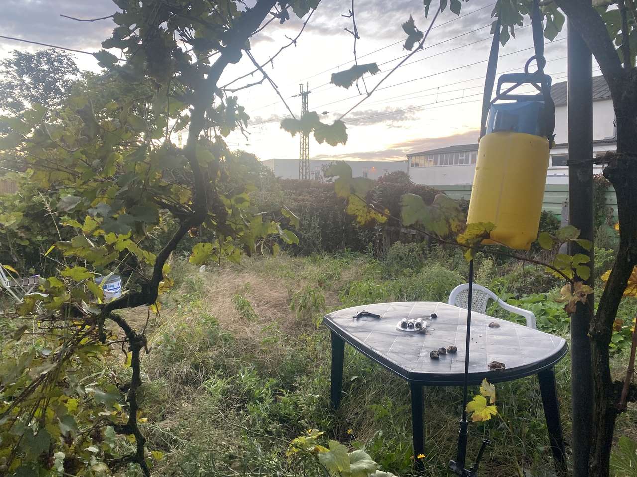 Wohnen mit Garten – modernisierte 4-Zimmer-Wohnung in Malsch