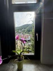 Blick auf die Bergbahn Blick auf die Bergbahn